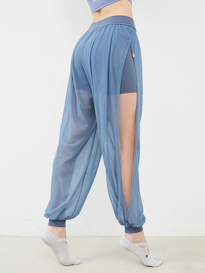 GRANDELINE See-through Slit Harem Pants - Model