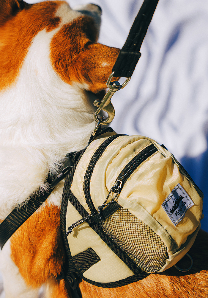 [輕量寵物外出袋] Heisan Utility Pet Bag 寵物外出背包
