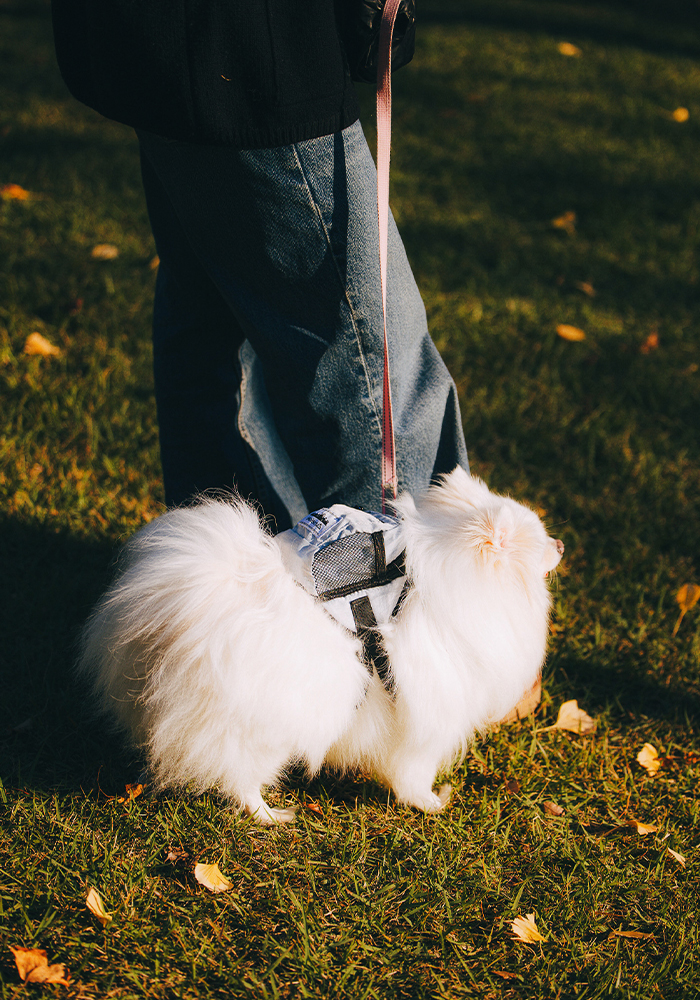 [輕量寵物外出袋] Heisan Utility Pet Bag 寵物外出背包
